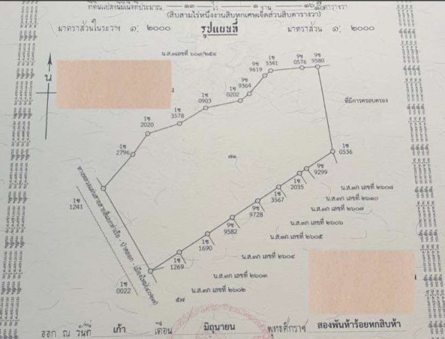 SALEขายที่ดินถลางติดถนนป่าคลอกใกล้ทางเข้าอ่าวปอ เนื้อที่ 13 ไร่ขาย 9 ล้านต่อไร่