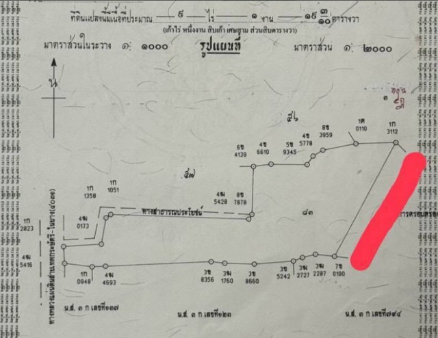 SALEขายที่ดินถลางติดถ.เทพกระษัตรีย์-สาคู-ในยางเนื้อที่9ไร่เศษขาย 8.5 ล้านต่อไร่